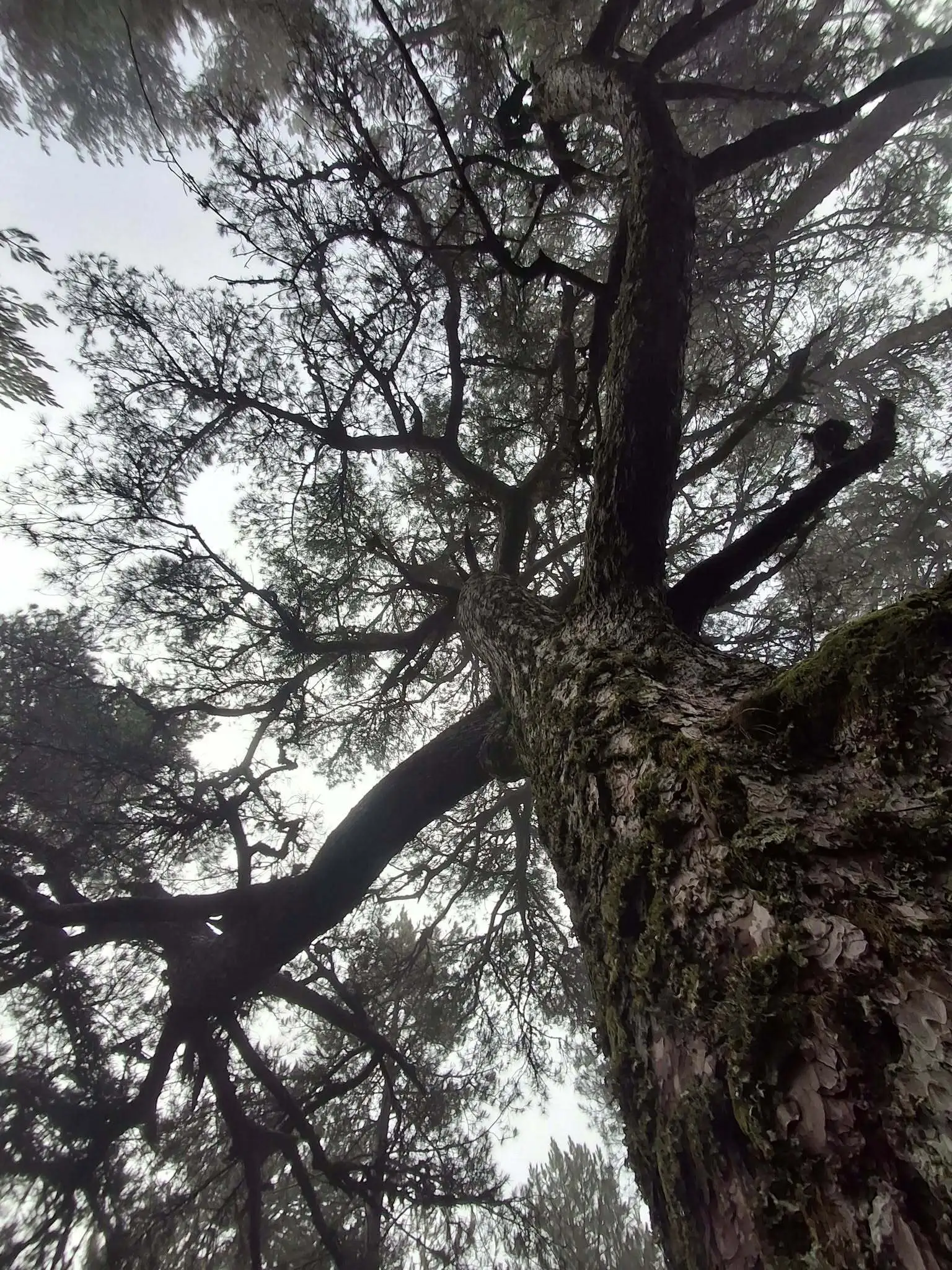 Renforcer son estime de soi avec l�hypnose � Toulon, Six-Fours et Ollioules