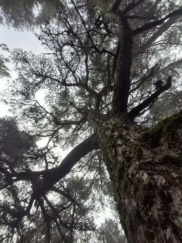 renforcer-son-estime-de-soi-avec-l-hypnose-a-toulon-six-fours-et-ollioules